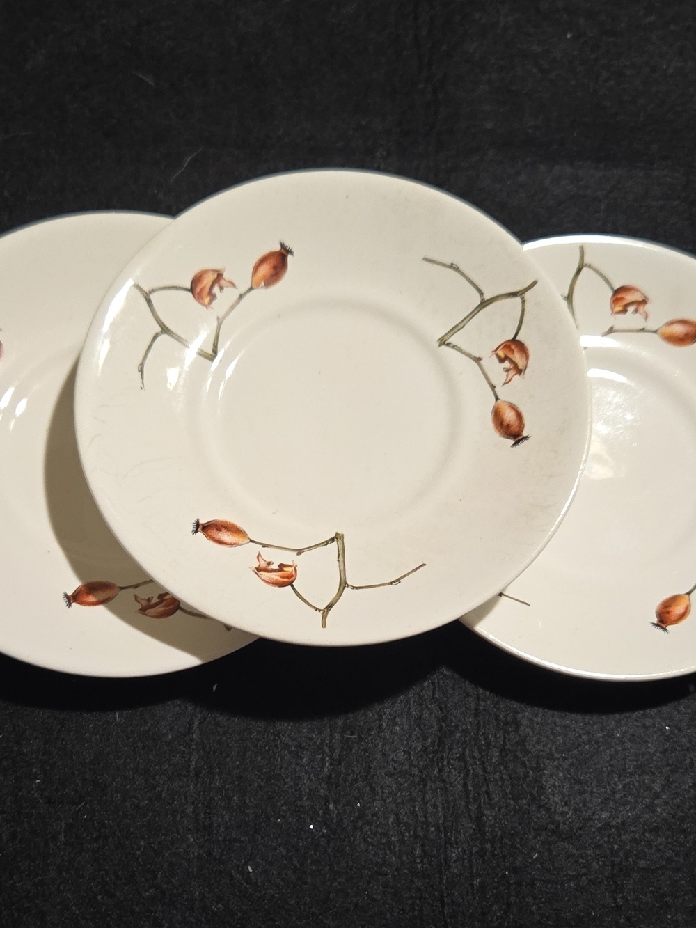 Villeroy & Boch White Saucers with Brown Rosehip Motif. Set Of 3